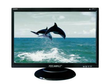 FEELWORLD22Һʾ(228PW)