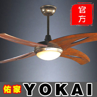 Ӽҹٷȵ48-YJ094