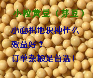 ѿ(ũ690)