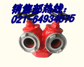 SNSS65˫˫˨Ϻŷ