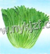 ձҶ