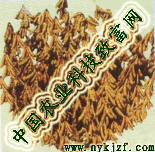 涹|жִ