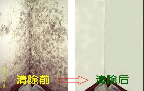 ǽù(500ml)