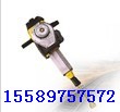 PPSN55·̸