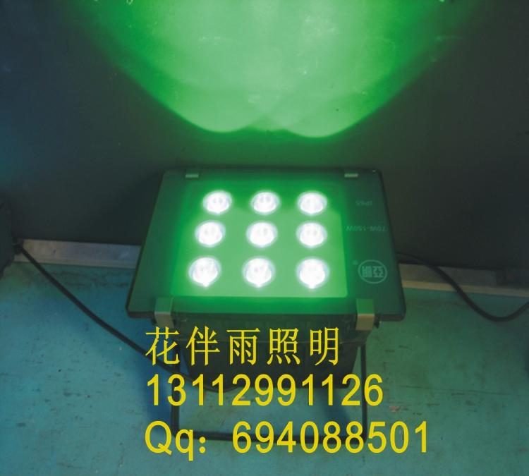 LEDͶ