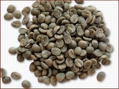 뿧(1)СȣȶArabica