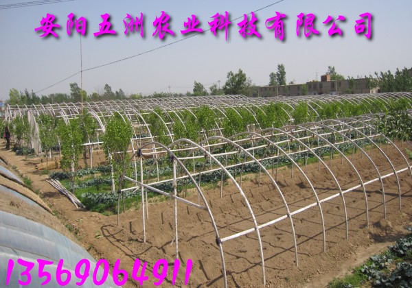 ҴǼܻ֧ܻ߲˴ﰲ