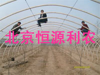 ֳǼܻ