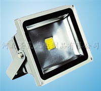 ledͶ(4001)