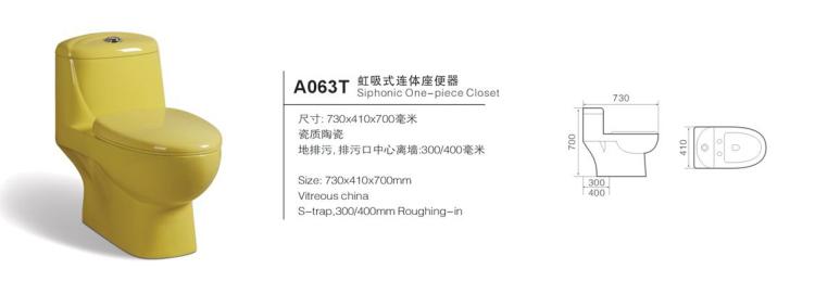 A063T