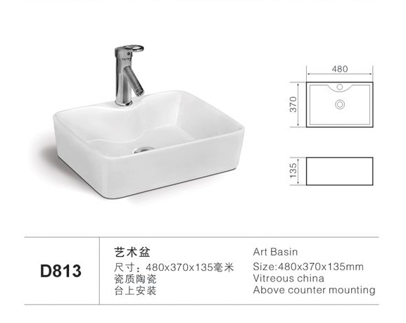 D813