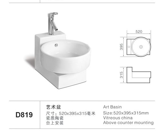 D819