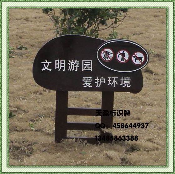 ʶ(TYE)