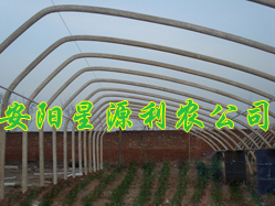 ǿֹܴ֧