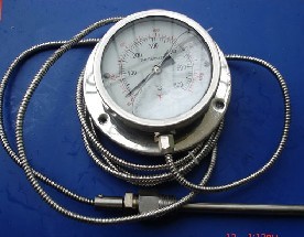 ѹʽ¶ȼ(WTZ-280,WT)