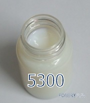 ëҺĤ5300
