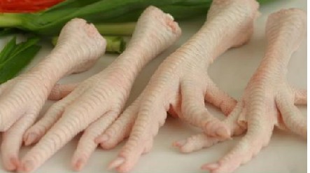 צ˽ڡڶצء