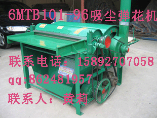 (6MTB101-96)
