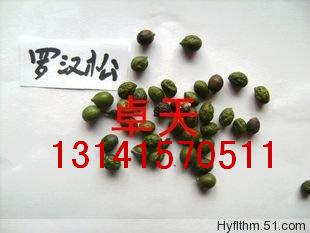 ϣӣҡǮӣ