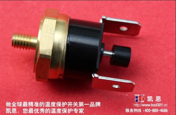 挂烫机温控开关东莞凯恩