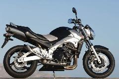 ľGSR600