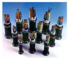 F46G0.61KV