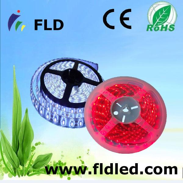 (FLD3528-30)
