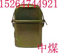 ZH15͸ʽѧԾ