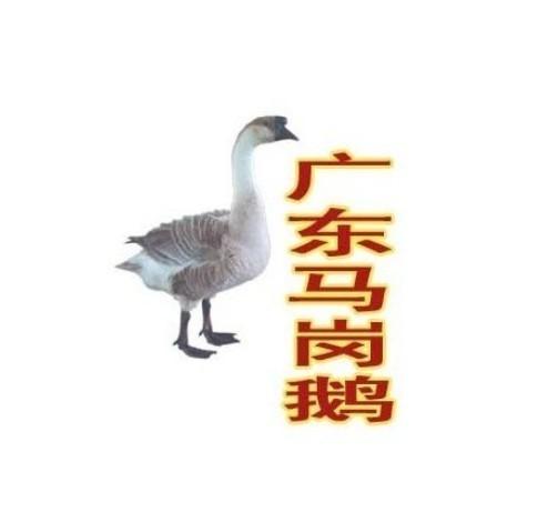 㶫Զ