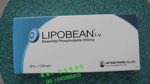 lipobeanֲ֬