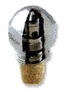 ʷ(Sʵϵ)