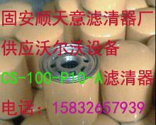 ֶCS100P10A
