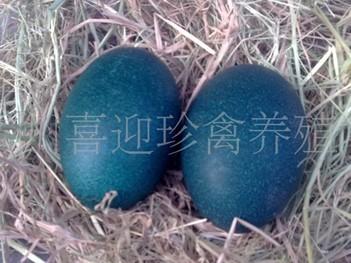 㶫áŵ