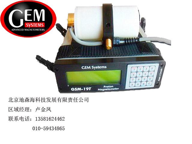 ߾ӴGSM-19T