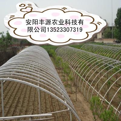 ǼֳܻǼܻ
