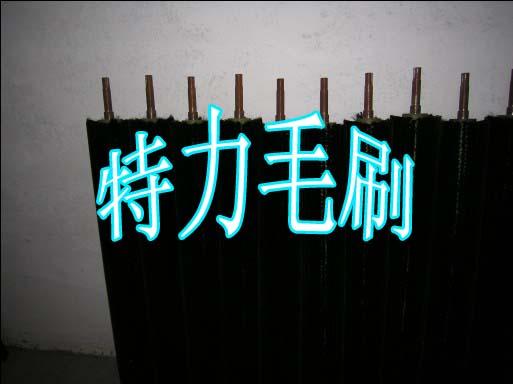 չëˢ