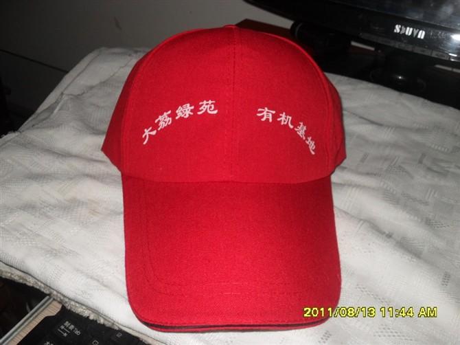 ǨñǨñǨñ