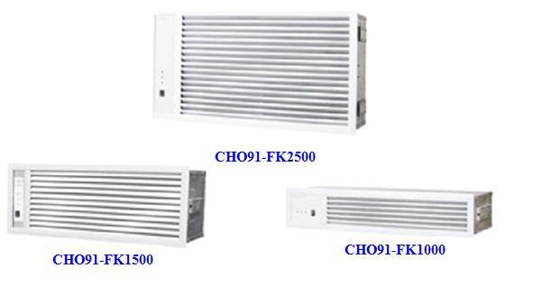 CHO-91FKյϵ