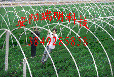 ȫԶֳֹܸǼܻ