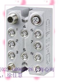 31F722.9ģ