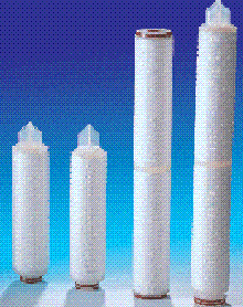 ֱ۵о
