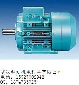 1LG0083-4AA21