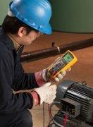 Ե(FLUKE1508)
