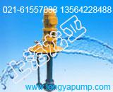 100FY-20ֱ2.5M