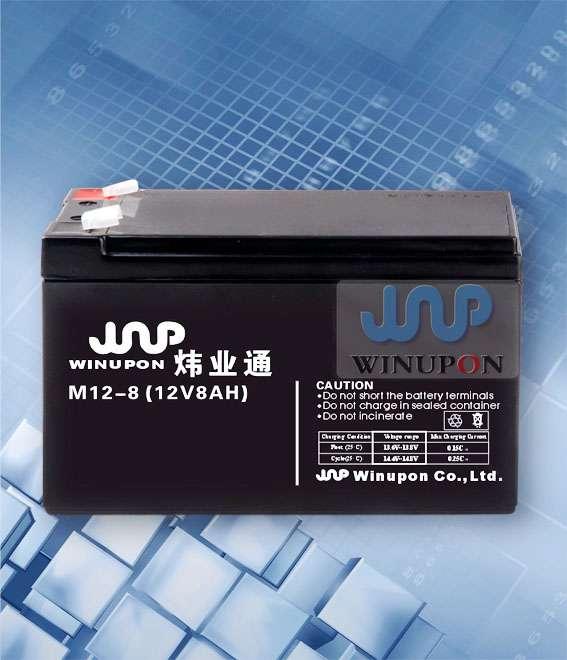 س12v8ah