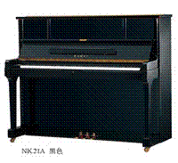 NK-21A