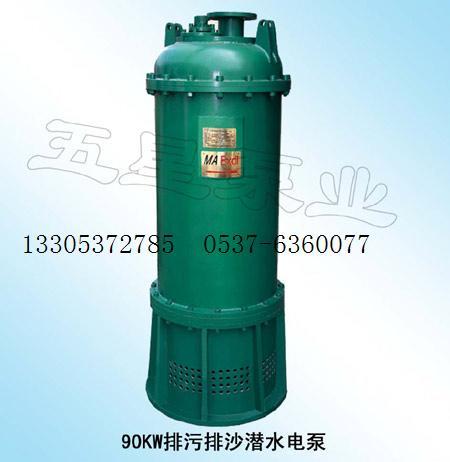 BQS50-240-90KWˮ