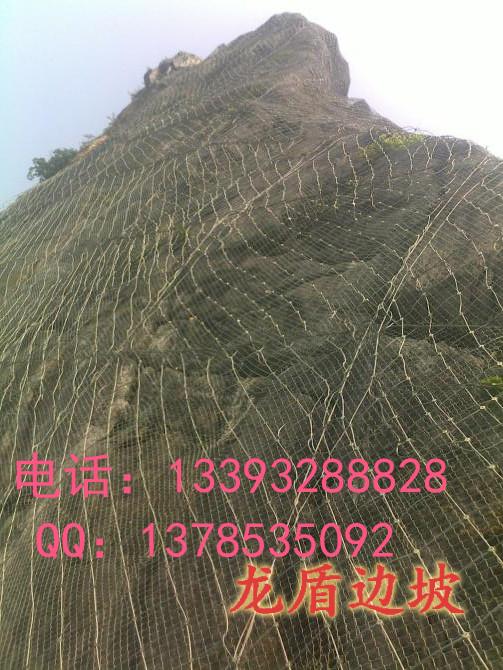 SNSԷϵͳƷ