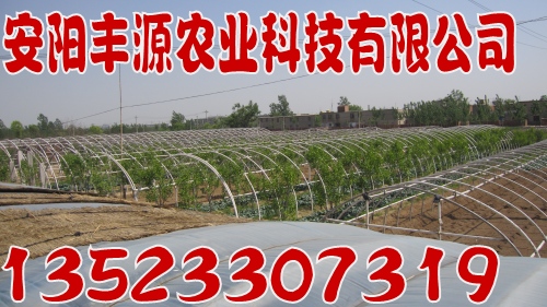 ҴǼִܸǼܻʹǼܣ²ϴǼܻ