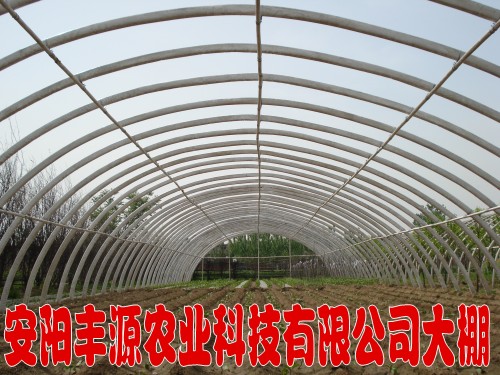 ʹǼܻ֧ܻʹǼܻ